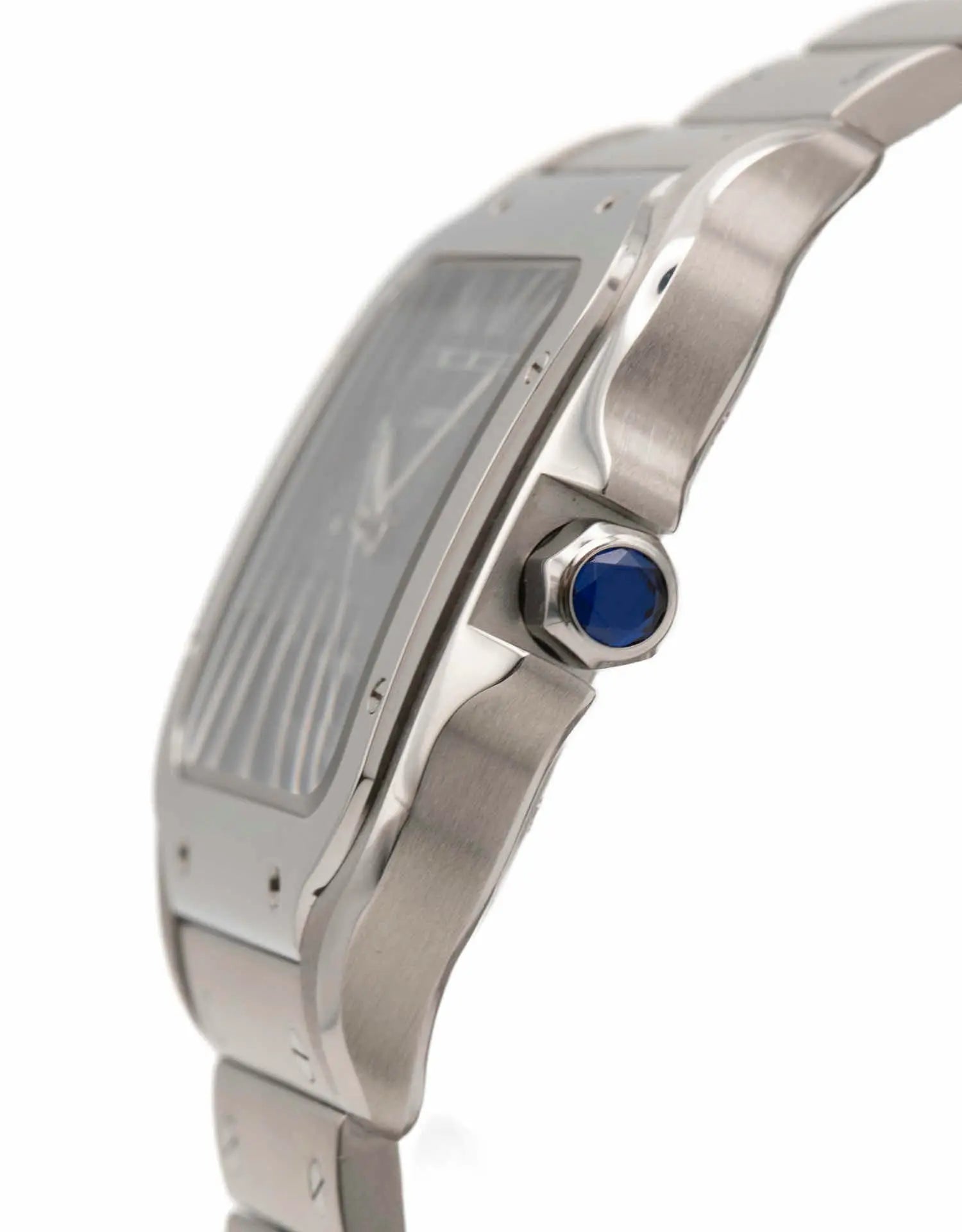 Cartier Santos 2022 Automatic Steel Blue Dial Luxury Men's Watch WSSA0030